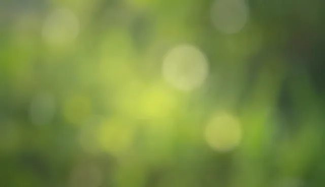 供应链优化中的选型关注点与条件分析